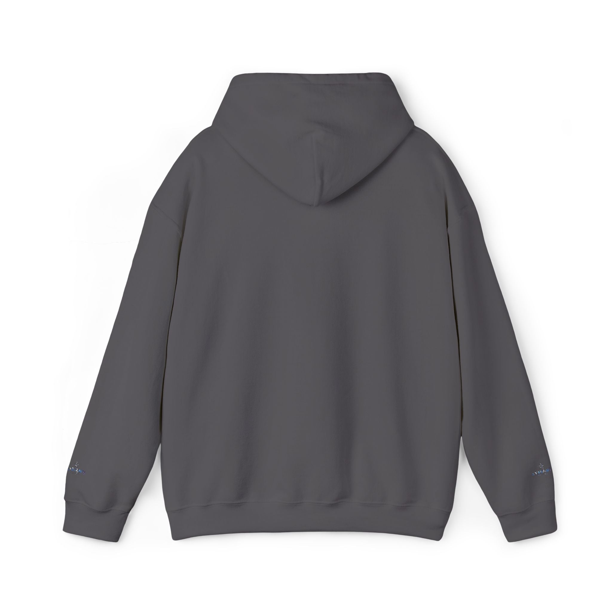 Belize Kyhiann Floral Hoodie — Lightweight Tropical Travel Sweatshirt