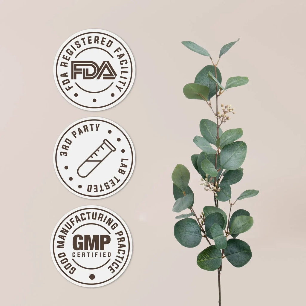 Ginkgo Biloba Tincture